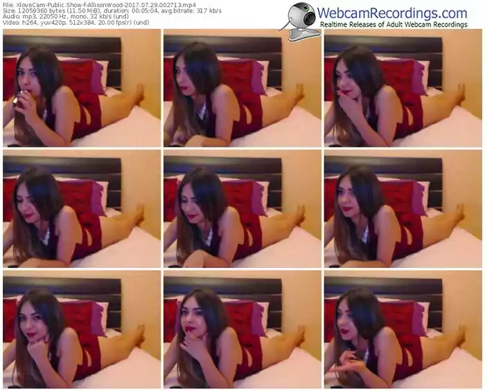 xlovecam-allisonwood-webcam-show-07_29_2017-00_27_13