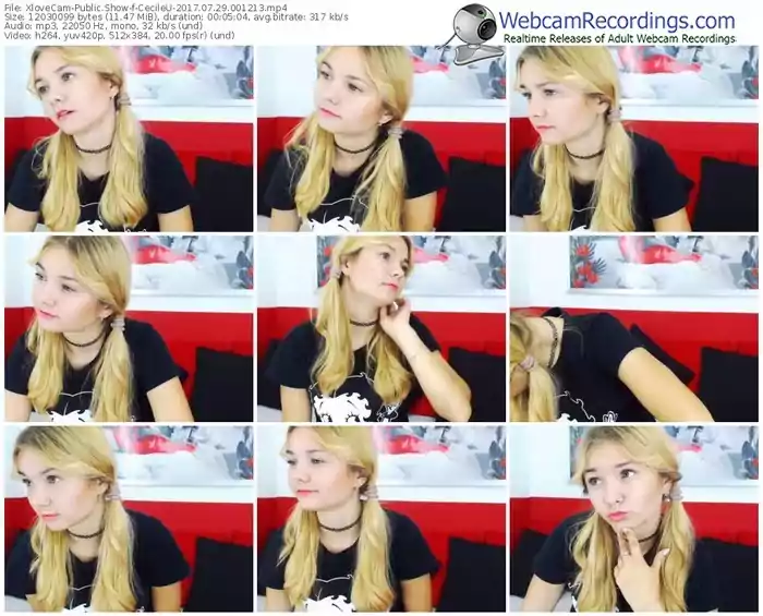 xlovecam-cecileu-webcam-show-07_29_2017-00_12_13