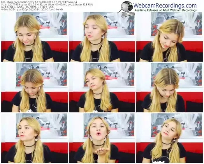 xlovecam-cecileu-webcam-show-07_29_2017-00_47_14