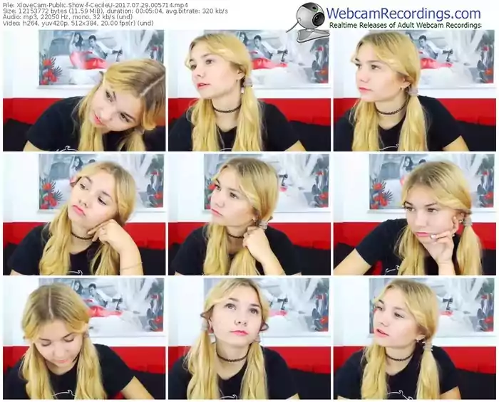 xlovecam-cecileu-webcam-show-07_29_2017-00_57_14