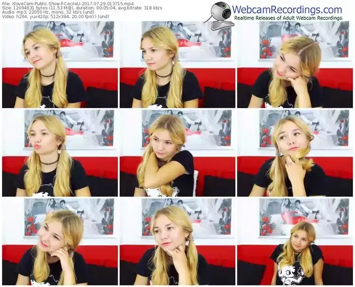 xlovecam-cecileu-webcam-show-07_29_2017-01_37_15