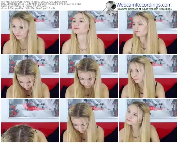 xlovecam-cecileu-webcam-show-07_29_2017-21_27_35