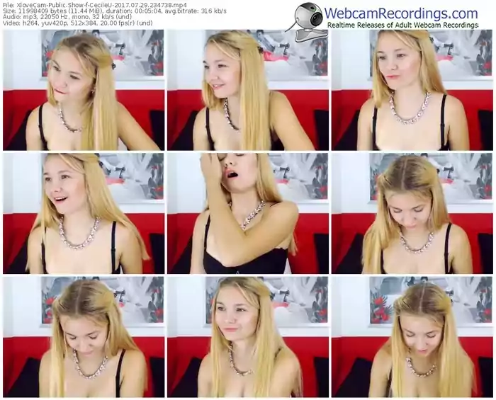 xlovecam-cecileu-webcam-show-07_29_2017-23_47_38