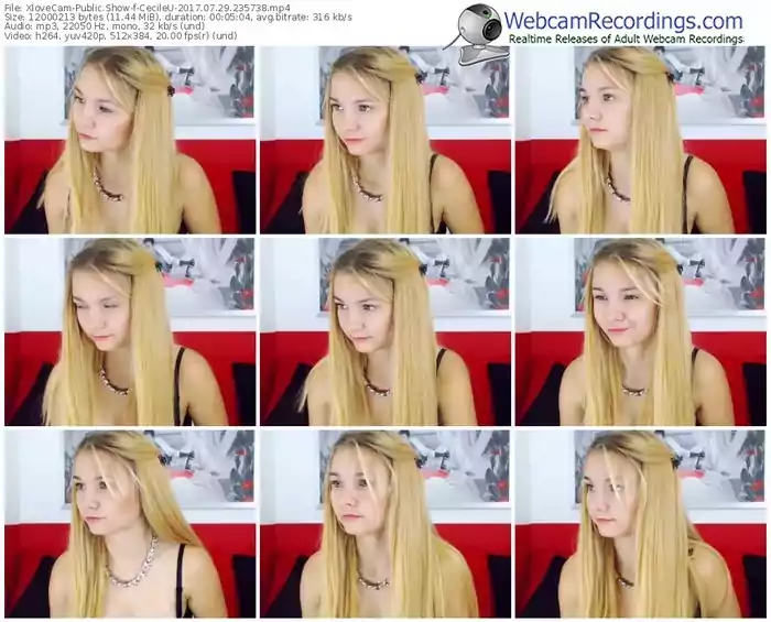 xlovecam-cecileu-webcam-show-07_29_2017-23_57_38