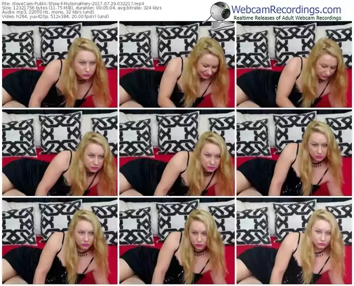 xlovecam-myleinamery-webcam-show-07_29_2017-03_22_17