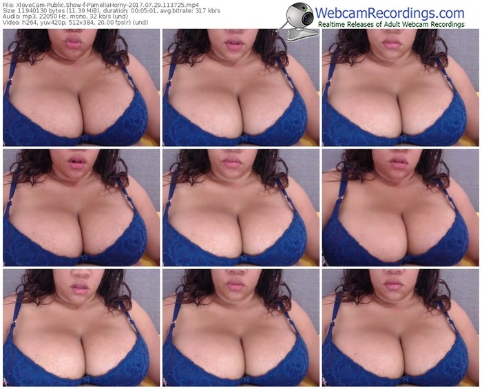 xlovecam-pamellahorny-webcam-show-07_29_2017-11_37_25