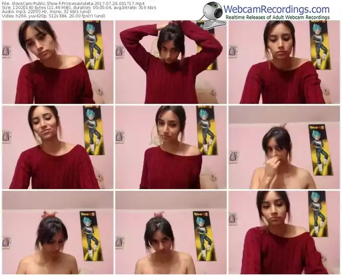 xlovecam-princesavioleta-webcam-show-07_29_2017-03_17_17
