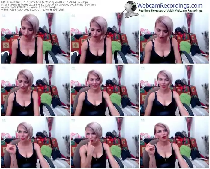 xlovecam-switchmonique-webcam-show-07_29_2017-14_52_29