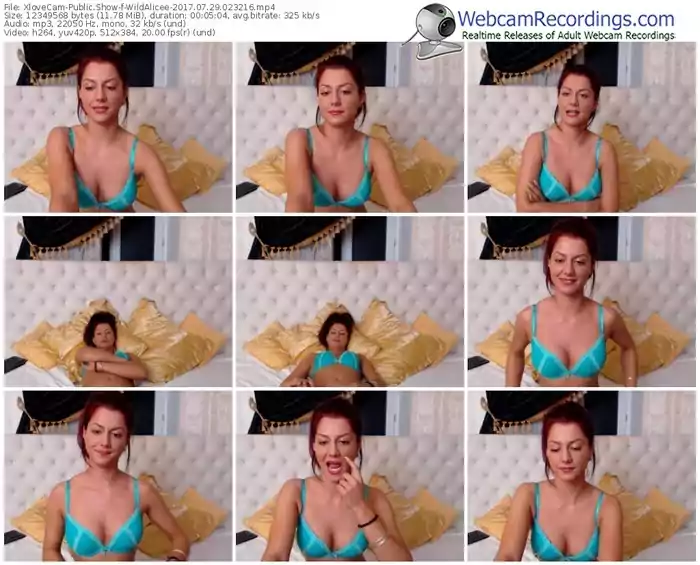 xlovecam-wildalicee-webcam-show-07_29_2017-02_32_16