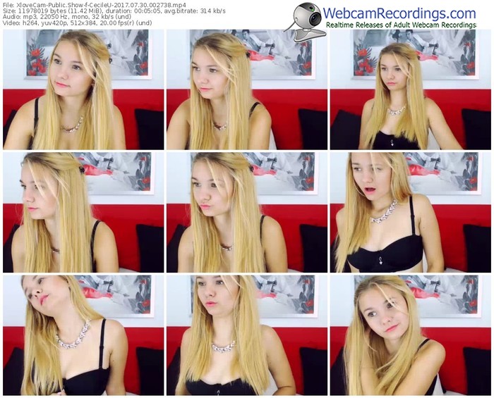 xlovecam-cecileu-webcam-show-07_30_2017-00_27_38