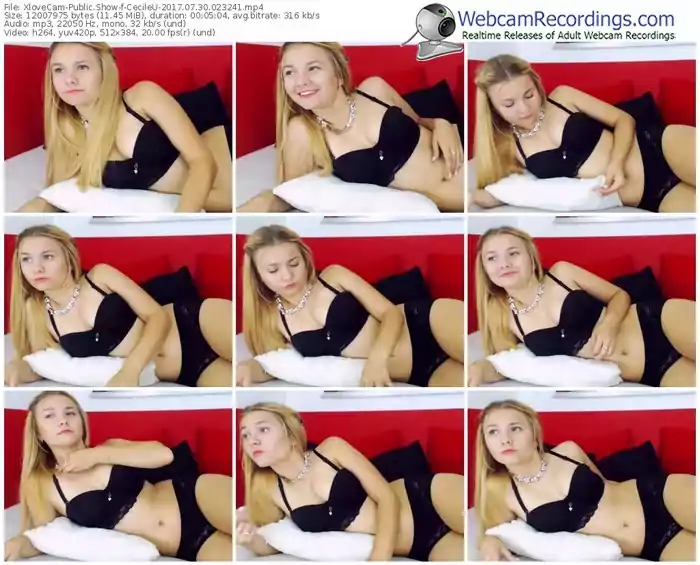 xlovecam-cecileu-webcam-show-07_30_2017-02_32_41