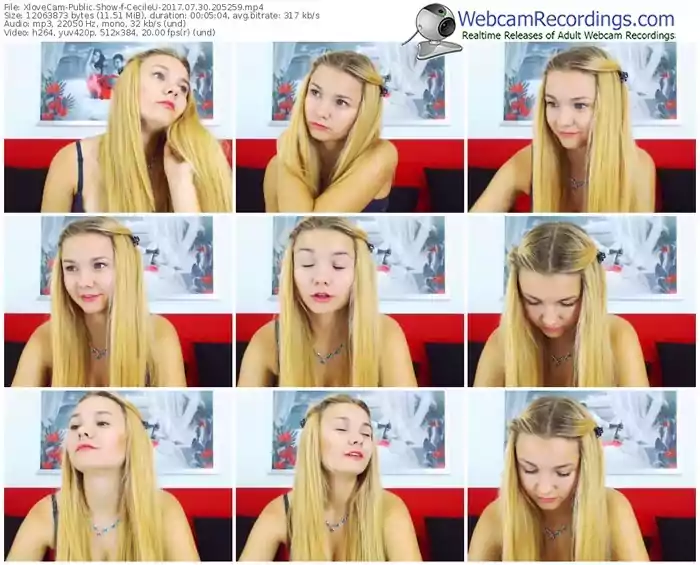 xlovecam-cecileu-webcam-show-07_30_2017-20_52_59