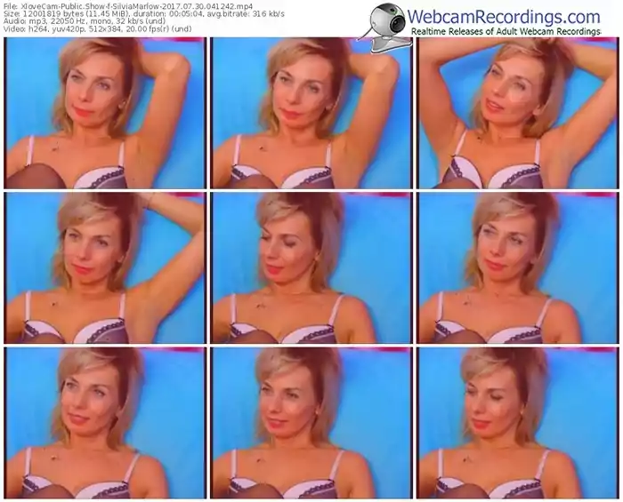 xlovecam-silviamarlow-webcam-show-07_30_2017-04_12_42