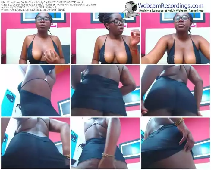 xlovecam-sofycastle-webcam-show-07_30_2017-03_27_41