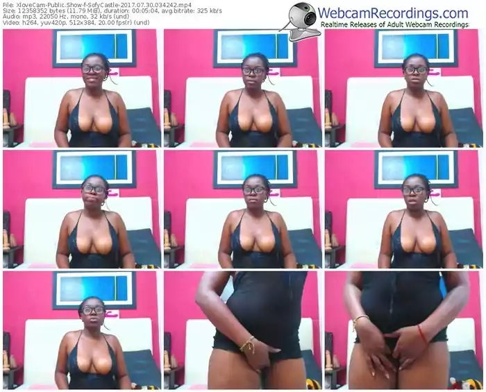 xlovecam-sofycastle-webcam-show-07_30_2017-03_42_42