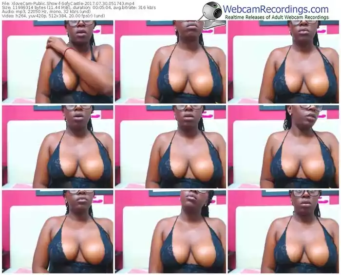 xlovecam-sofycastle-webcam-show-07_30_2017-05_17_43