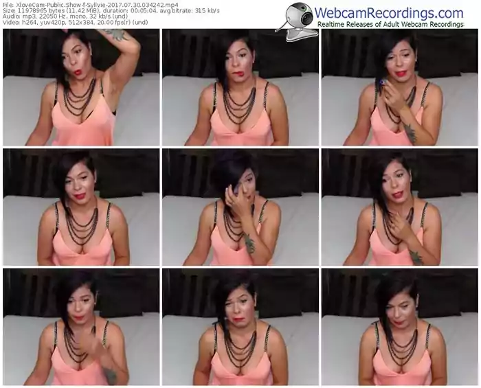 xlovecam-syllvie-webcam-show-07_30_2017-03_42_42