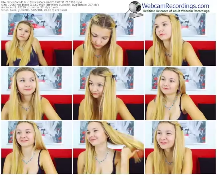 xlovecam-cecileu-webcam-show-07_31_2017-01_53_03