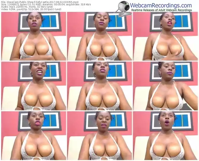 xlovecam-sofycastle-webcam-show-08_02_2017-03_33_55