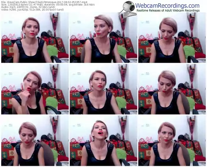 xlovecam-switchmonique-webcam-show-08_02_2017-05_33_57