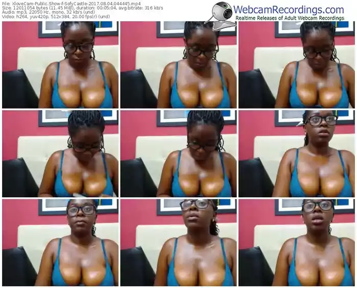 xlovecam-sofycastle-webcam-show-08_04_2017-04_44_45