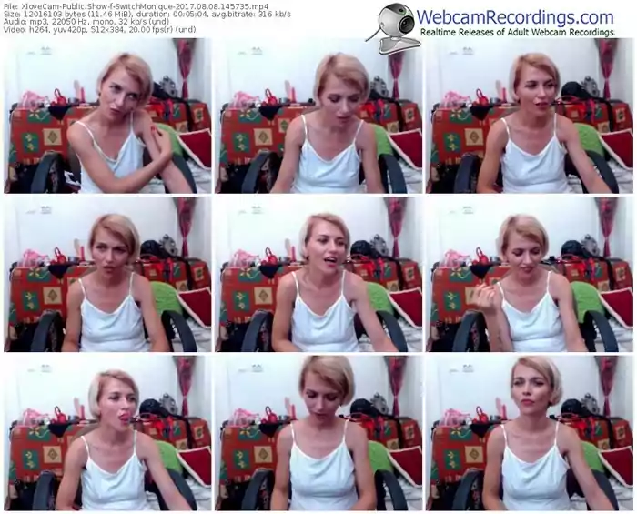 xlovecam-switchmonique-webcam-show-08_08_2017-14_57_35