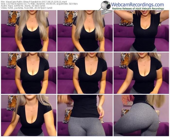 xlovecam-sandykiss-webcam-show-08_15_2017-22_31_21