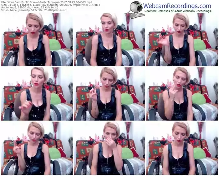 xlovecam-switchmonique-webcam-show-08_15_2017-06_46_03