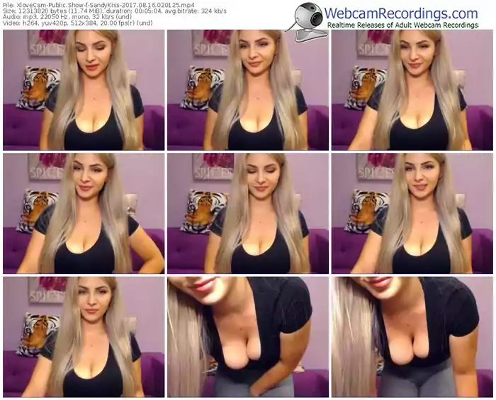 xlovecam-sandykiss-webcam-show-08_16_2017-02_01_25