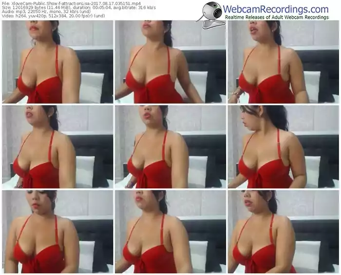 xlovecam-attractionlisa-webcam-show-08_17_2017-03_51_51