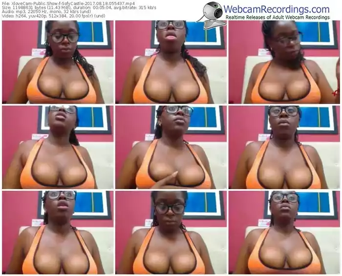 xlovecam-sofycastle-webcam-show-08_18_2017-05_54_37