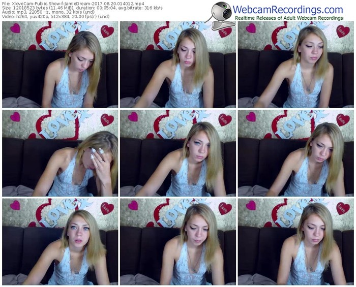 xlovecam-jamiedream-webcam-show-08_20_2017-01_40_12