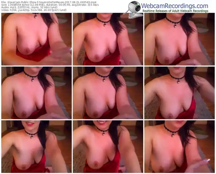 xlovecam-soumisdetonreves-webcam-show-08_21_2017-09_35_43