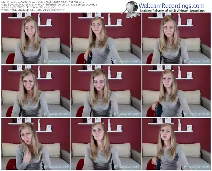 xlovecam-velvetnight-webcam-show-08_21_2017-03_15_37