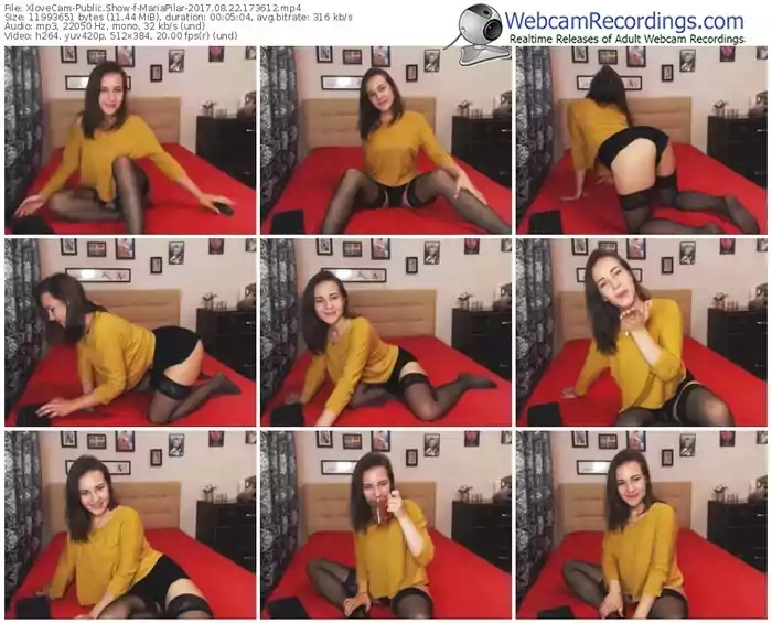 xlovecam-mariapilar-webcam-show-08_22_2017-17_36_12