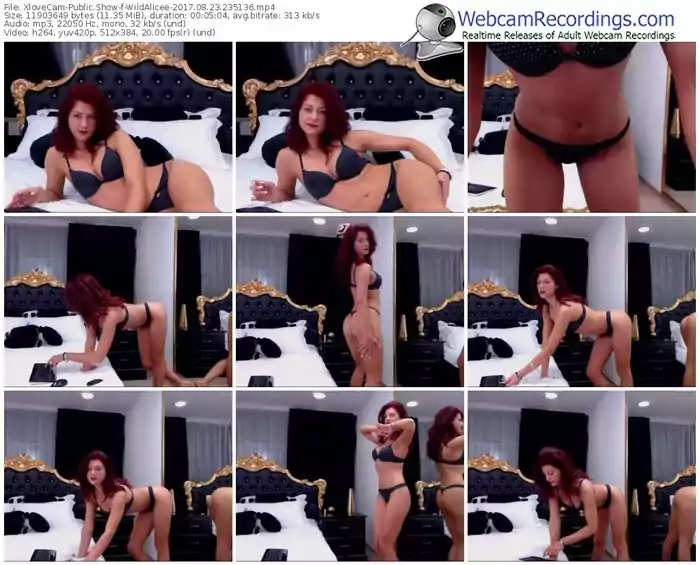 xlovecam-wildalicee-webcam-show-08_23_2017-23_51_36