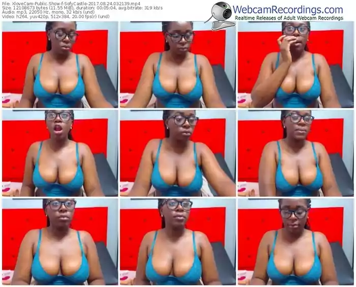 xlovecam-sofycastle-webcam-show-08_24_2017-03_21_39