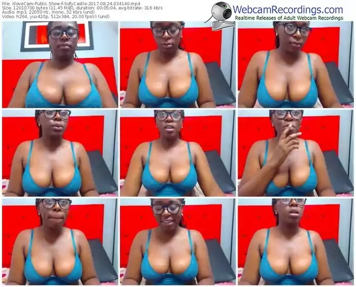 xlovecam-sofycastle-webcam-show-08_24_2017-03_41_40