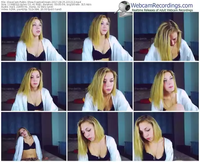 xlovecam-jamiedream-webcam-show-08_25_2017-22_12_12