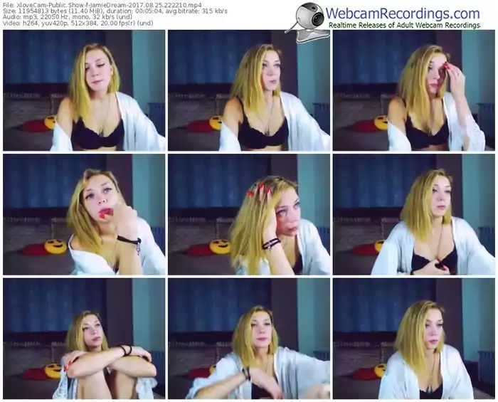 xlovecam-jamiedream-webcam-show-08_25_2017-22_22_10