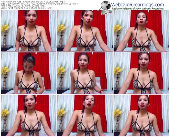 xlovecam-shylove-webcam-show-08_25_2017-03_36_57