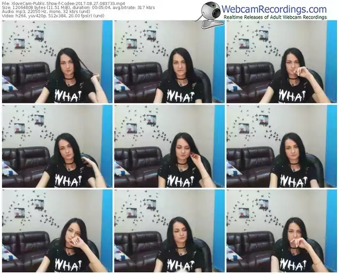 xlovecam-codee-webcam-show-08_27_2017-08_37_33
