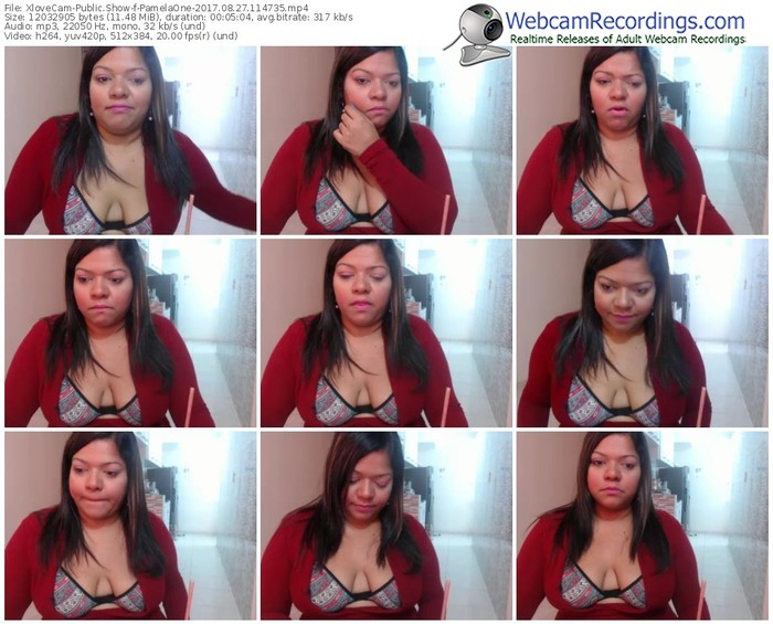 xlovecam-pamelaone-webcam-show-08_27_2017-11_47_35