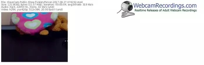 xlovecam-valeryperver-webcam-show-08_27_2017-07_42_32