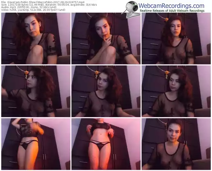 xlovecam-beccatobin-webcam-show-08_29_2017-02_47_57