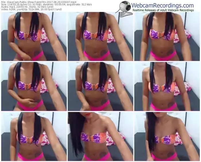 xlovecam-jenntits-webcam-show-08_29_2017-03_30_07