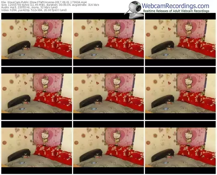 xlovecam-taprincesse-webcam-show-09_01_2017-17_36_04