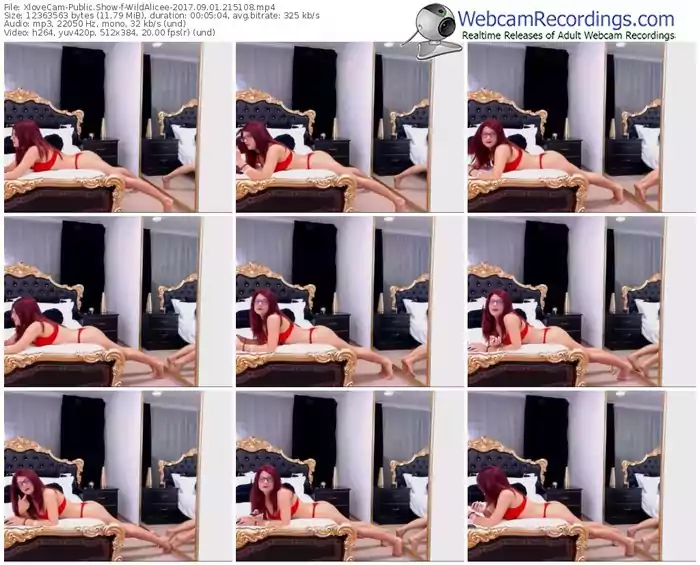 xlovecam-wildalicee-webcam-show-09_01_2017-21_51_08