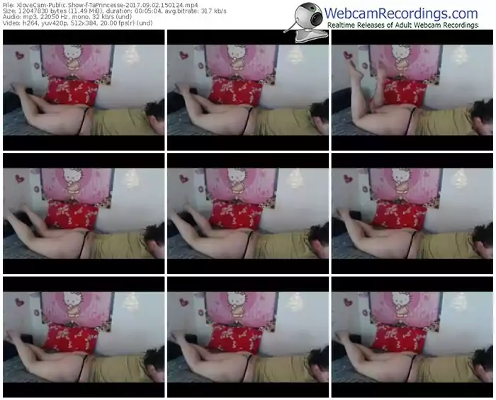 xlovecam-taprincesse-webcam-show-09_02_2017-15_01_24