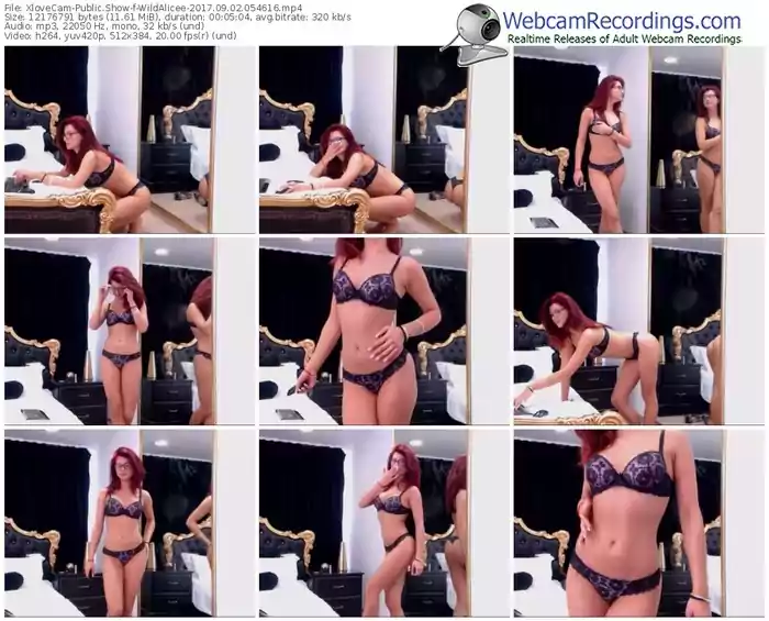 xlovecam-wildalicee-webcam-show-09_02_2017-05_46_16